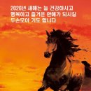 보령의료기 이미지