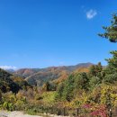 산으로간니모 이미지