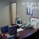 펫앤쉘터동물병원