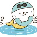 장유스포츠센터 수영장 네이버블로그