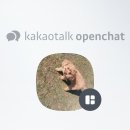 Halo Sleepsack 스와들 3-6개월용 2벌 30불 이미지