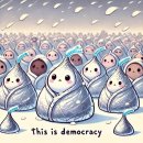 This is Democracy 이미지