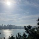 송림길 | 울산 대왕암공원 벚꽃 산책, 출렁다리부터 이디야 카페까지 아이와 다녀온 후기