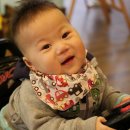 파인트리하우스 이미지