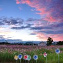 두배농장 이미지