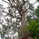 동로치안센터 이미지