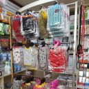 용호동물병원 이미지