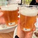일영펜션 | [경기 양주] 장흥면 삼상리 "일영랜드" (1박 2일 펜션이용후기 / 내돈내산 A구역 A-45,46,47 오픈런 한...