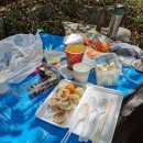 예삐애견 이미지