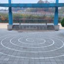 고양오금초등학교 이미지