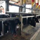 온정목장 이미지