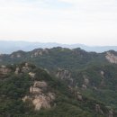 황금유치원 이미지