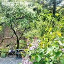 완두콩가족펜션 이미지