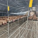 (주)배드민턴마켓 이미지