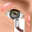 탄현로327번길 이미지