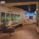 목면시배유지 이미지