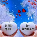 🍄 연어 효능과 부작용 🍄 이미지