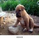 참 이미지