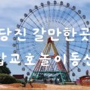 참맛손칼국수 이미지