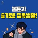 SKT 쓰는 팽넘들 봄툰 코인 받자😆😆😆😆😆😆😆😆 이미지