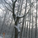 태백산 전경 이미지