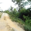 노화읍-4 이미지