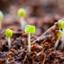 굴비곳간 이미지