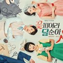 꽃피어라 이미지