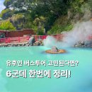 사이다카써비스 | 후쿠오카 유후인 출발 하차 버스투어 1일 투어 종류 6개 비교 추천 (유유버스 후기)