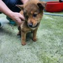 두문경로당 이미지