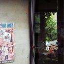 김씨박물관