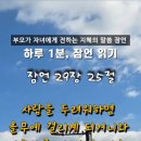 지혜중고등영어 이미지