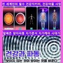 퀀텀파동센타 네이버블로그