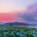 생생농장 이미지