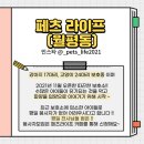 힐링페츠