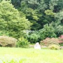 불영계곡1전망대 이미지