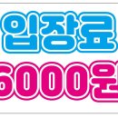 아이캣유 이미지