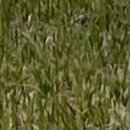 연세위너스재활의학과의원 이미지