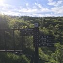 전남제재소 | 지리산 성백종주2