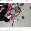 (주)바보몰 | 봄 맞이 캠페인 2탄 : 뿌리도의 재앙과 스팀세차