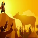 황금송아지 이미지