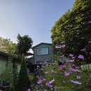 꿈나라민박 이미지