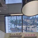 야미케이크 이미지