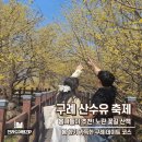 정비마을 | 구례 산수유축제 산수유마을 방문 후기 및 주차 정보
