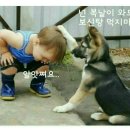 복 이미지