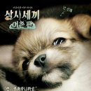 나무타는고양이 구경하는강아지 이미지