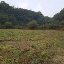 북이면사무소 이미지