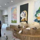 캣플헤븐 AK플라자금정점 이미지