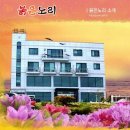 붉은노리