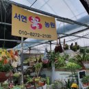 서연꽃농원